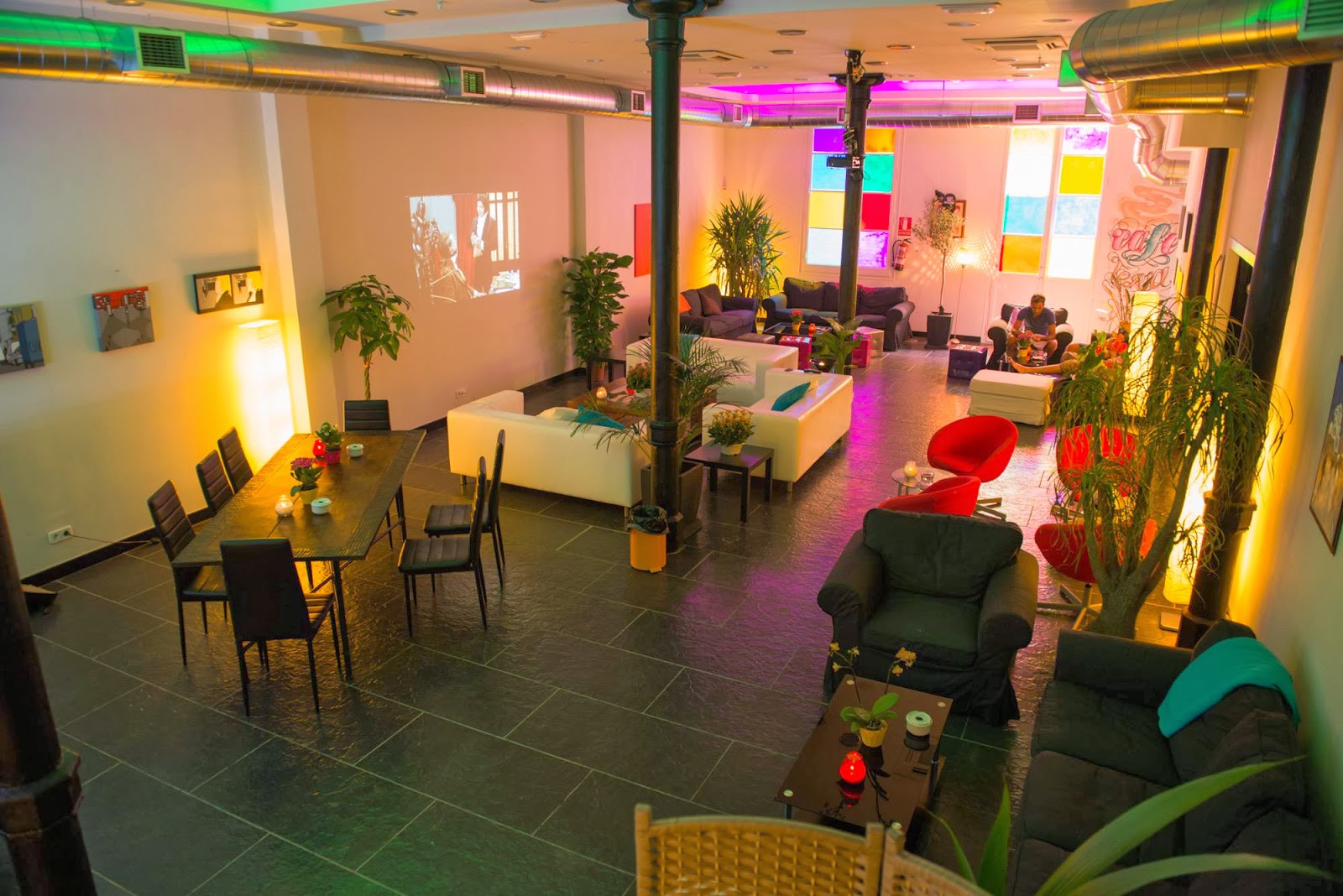 Exploring Premium Strains at the Best Cannabis Club Lloret de Mar