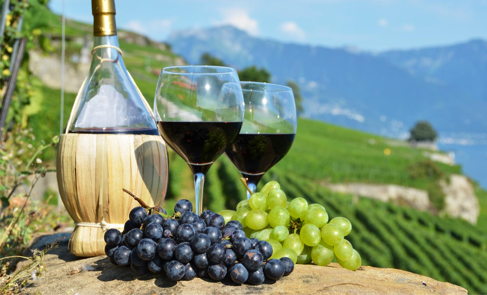 VIP Wine Tours Made Easy with Our Winery Limo Service