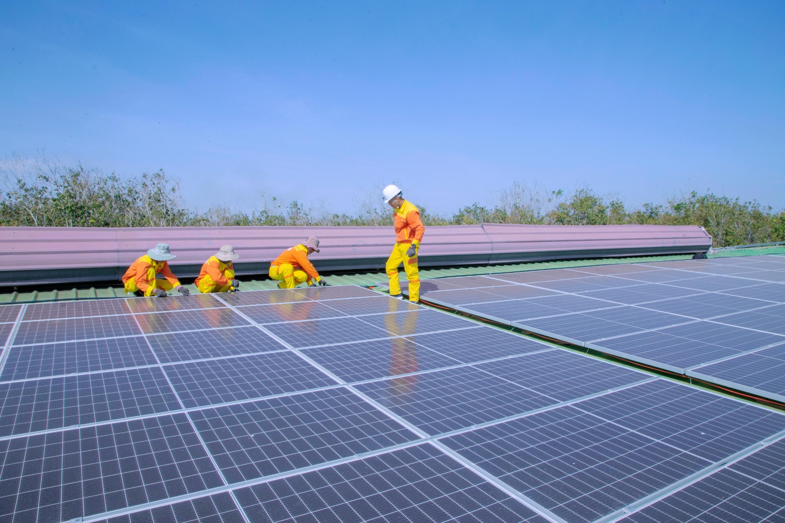 Commercial Solar Leicester for Modern, Eco-Conscious Companies