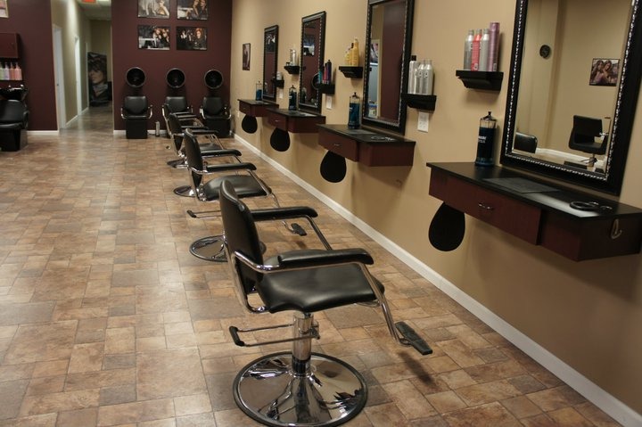 Affordable Ionic Hair Dryer for Professional Results