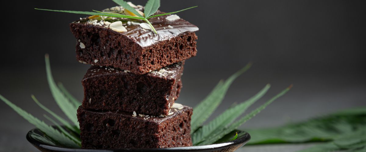 Cannabis club hamburg mit Anbaulizenz | Blütenbande e.V.