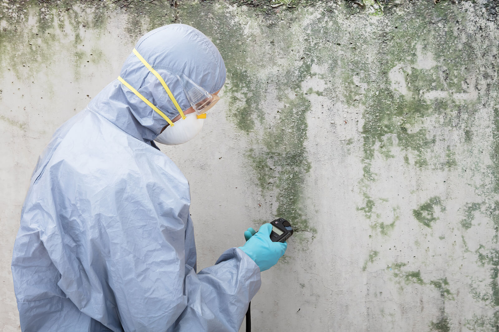 Austin’s Best Cleaning Team for mold remediation tarrytown austin tx