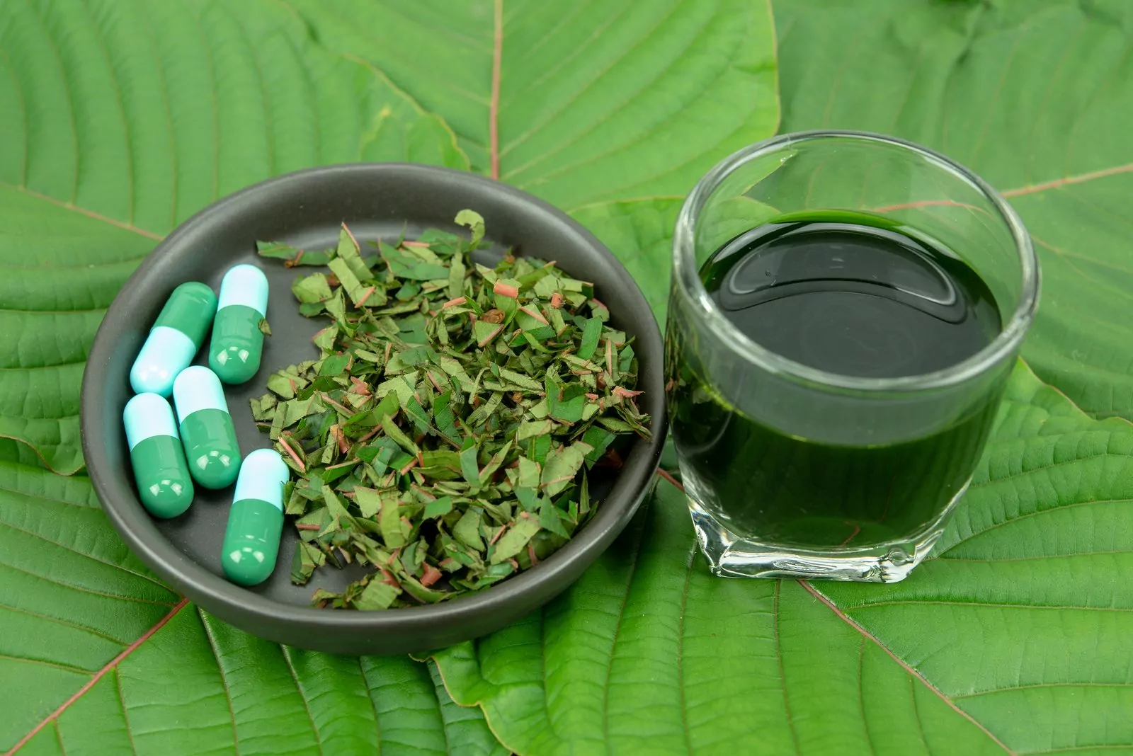 Explore the Best Herbal Wellness Tea Chiang Mai Offers