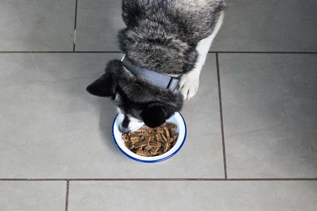 Dr Martys Dog Food: Sustainable and Responsible Sourcing