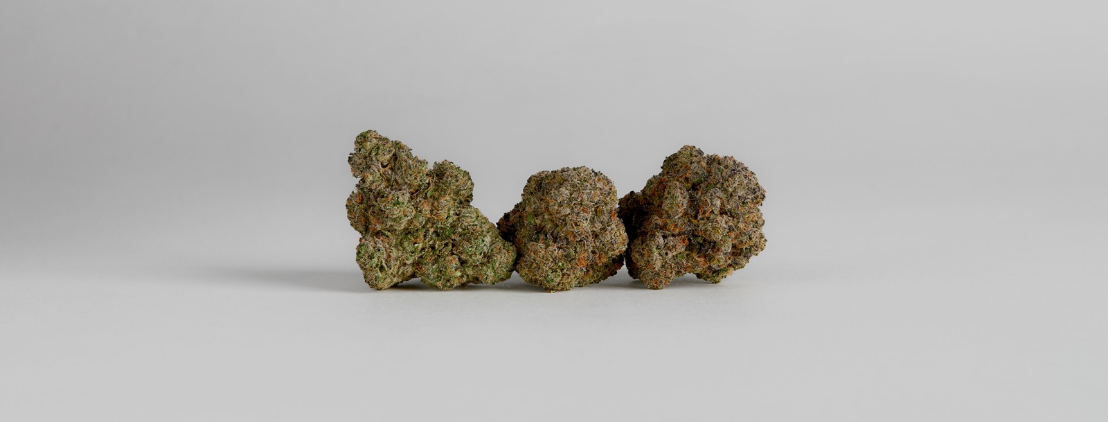 Pure Michigan Strain – First-Pick Cannabis from BC Farmers at Bud Cargo