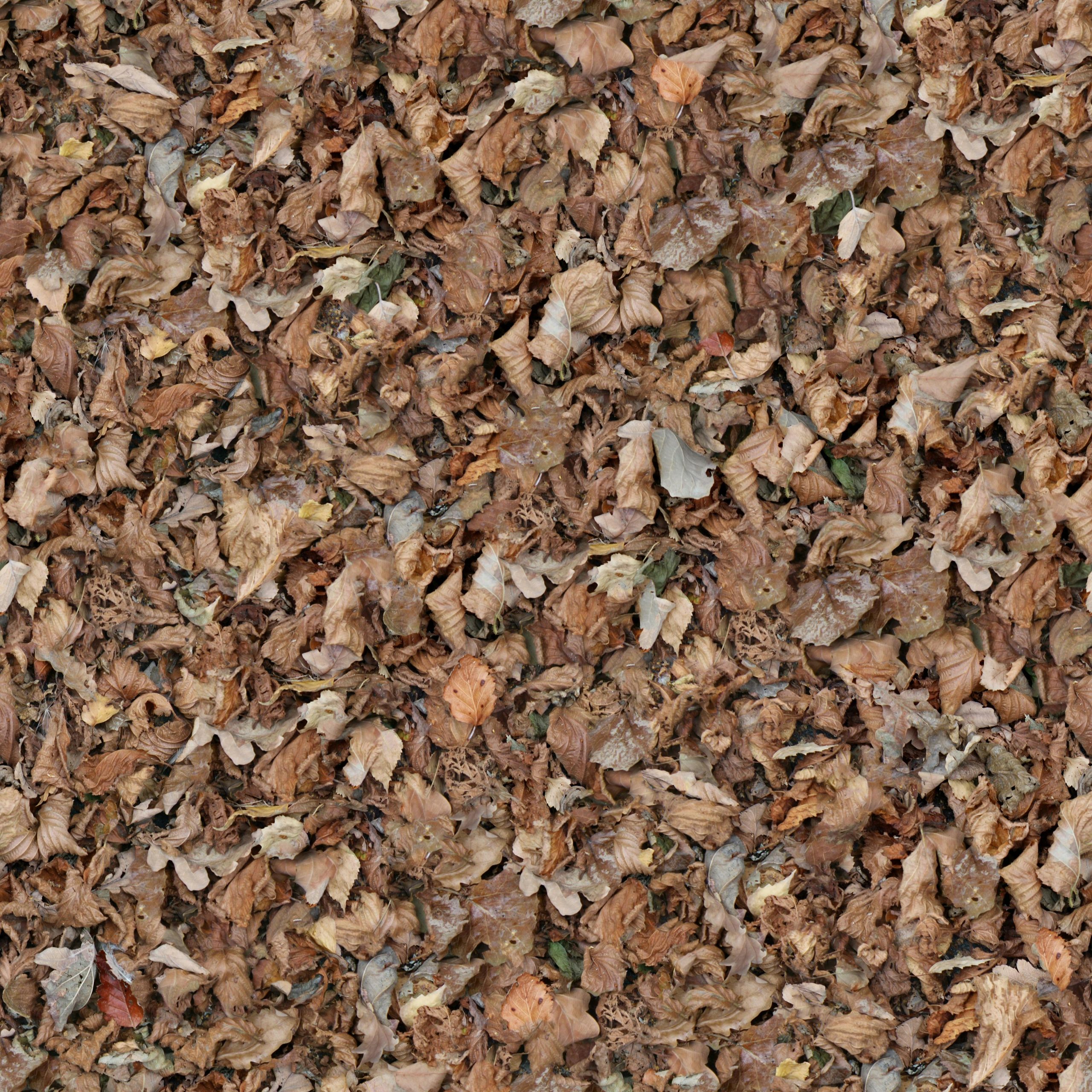 Lithuanian Wood Shavings for High Quality and Reliability