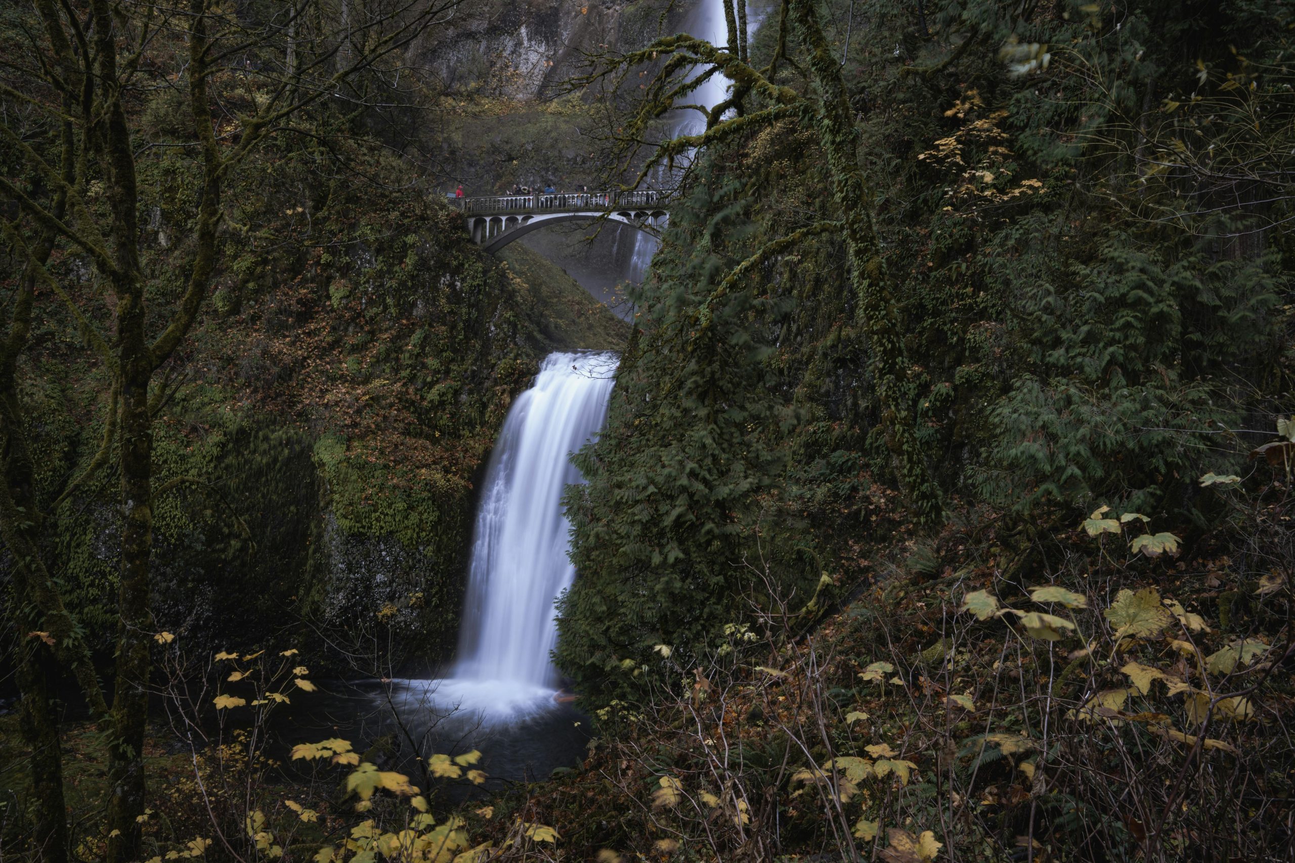 Visiting Multnomah Falls: How to Skip Parking and Permit Hassles