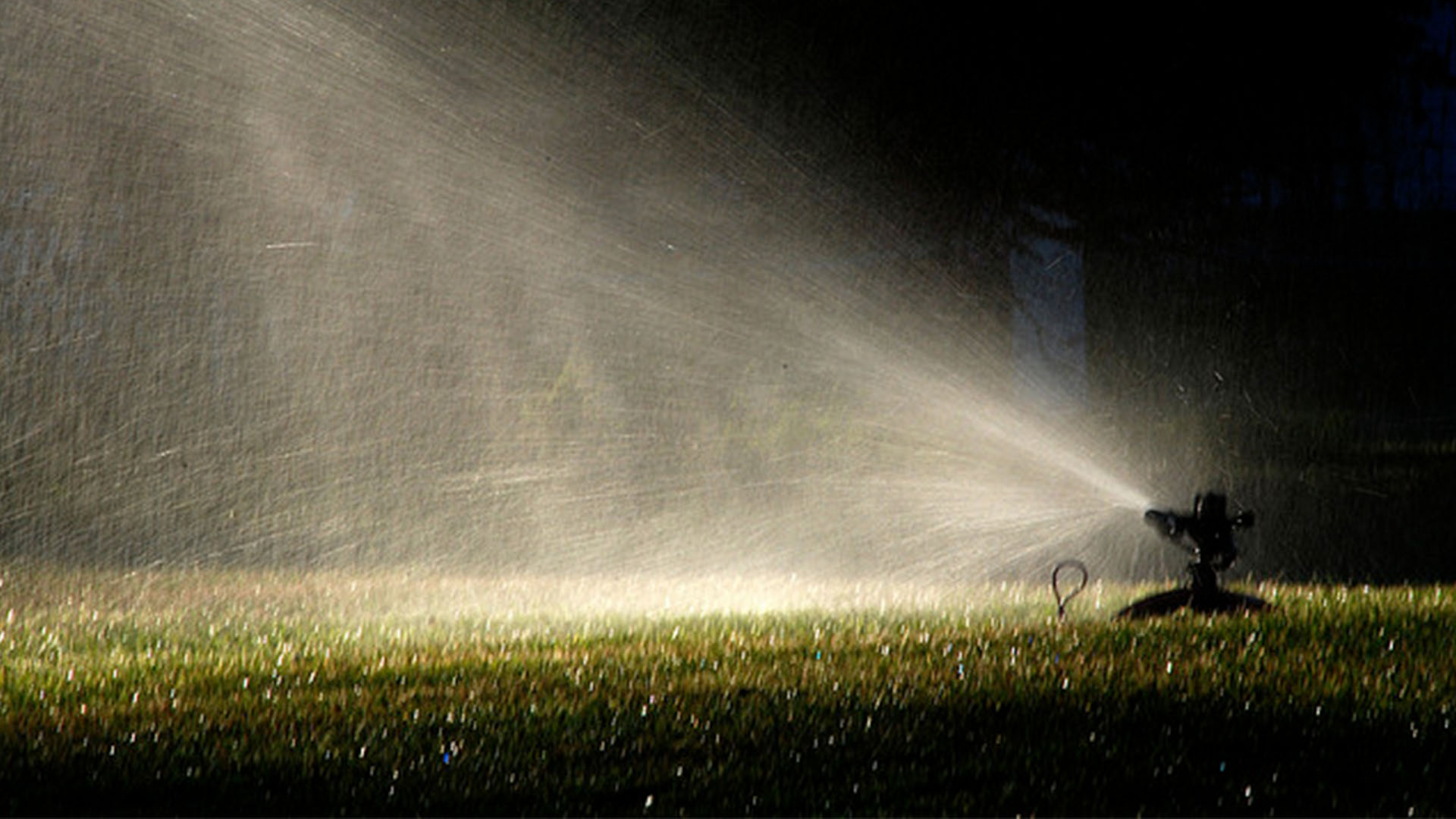 Professional Irrigation Services in Arlington, TX for Smart Water Use